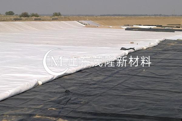 《黎光垃圾填埋場清理搬遷及運輸服務(wù)項目》HDPE土工膜