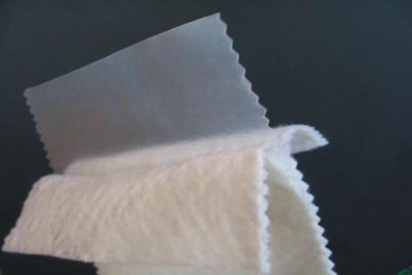 復(fù)合土工膜在生態(tài)水利工程中的應(yīng)用