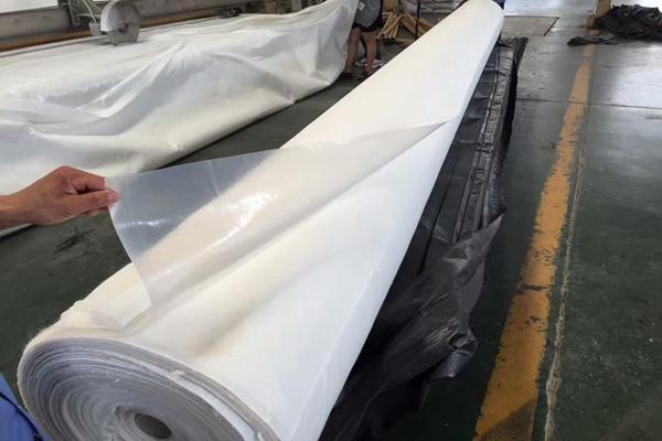 復(fù)合土工膜在生態(tài)水利工程中的應(yīng)用  第2張